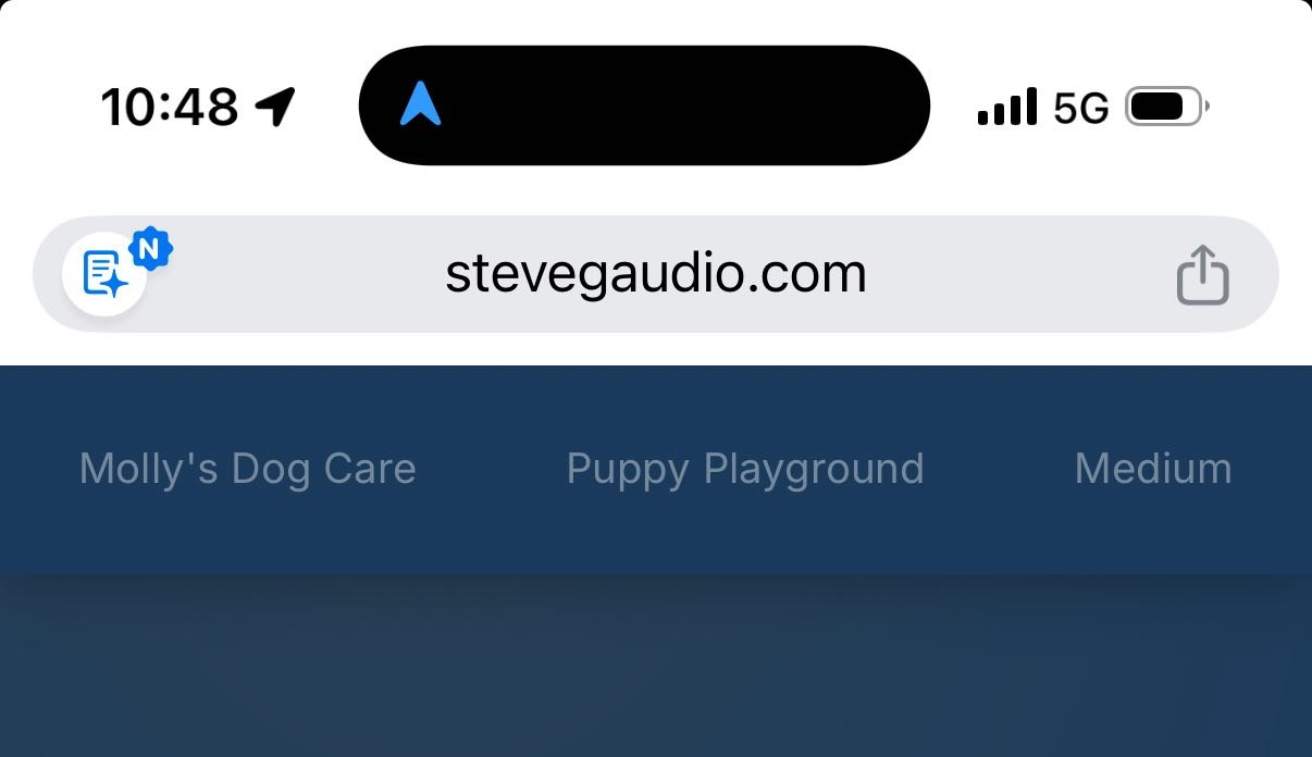 Steve Gaudio — Founder